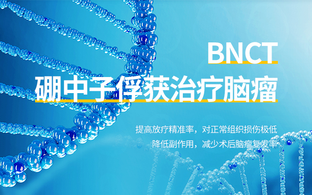 硼中子俘获疗法(BNCT)